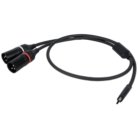 DAP FL112 - USB-C to 2 XLR/M 3P 0,75 m