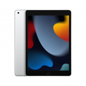 IPAD 9ªGEN/A13/256GB/WIFI/10.2"/SILVER