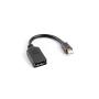 ADAPTADOR LANBERG DISPLAYPORT MINI MACHO A DISPLAYPORT HEMBRA CABLE 10 CM NEGRO - Imagen 1