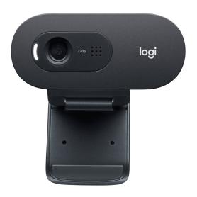 WEBCAM LOGITECH C505E 720P HD NEGRO - Imagen 1